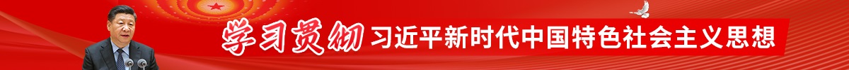 学习贯彻习近平新时代中国特色社会主义思想主题教育